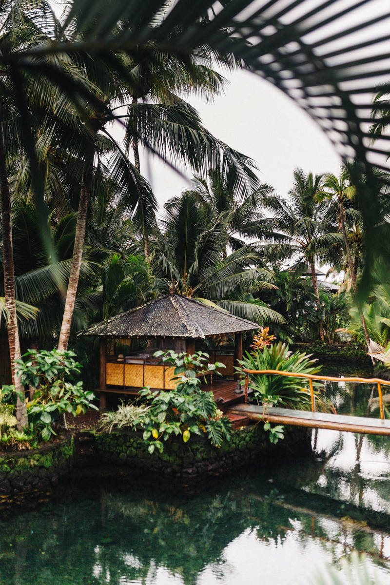 Young Teen Sucker-punches Opponent During Basketball Game john torcasio GM4sf9ltjFE unsplash 11