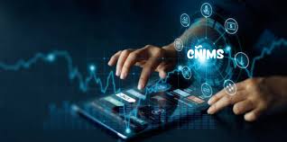 CÑIMS: The Hidden Pulse of Creative Intelligence cñims